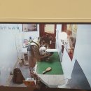 와니펫싸롱 이미지