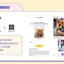 댕댕쌀롱 이미지
