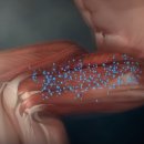 건강근력운동 이미지