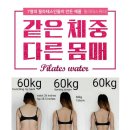 코코네 Daum카페