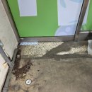 선경세탁 이미지