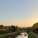 노리마리 | [11월 3주차] 범계 노리마리 / 어마어마해 안양1번가점 배달 / 당산 참새방앗간 / 백채짬뽕 중화비빔밥...