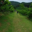 시목농장 이미지