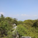 정선군 도사곡샘터 이미지