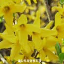 전곡울타리 이미지