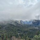 요세미티 국립공원(Yosemite National Park) 이미지