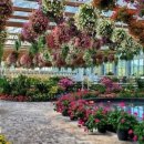 새들의 정원 이미지