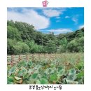 틀모산 도시숲 이미지