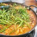 숲속장어 이미지