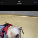 우리할매 떡볶이 민락점 이미지