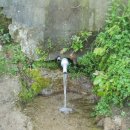 남궁농장 이미지