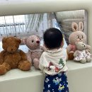 개편한집 | 천안 단독 대관 키즈카페 찾는다면, 맘편한키즈룸 추천 후기