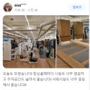 대니스짐 이미지