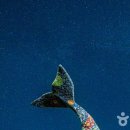 태백종합관광안내소 이미지