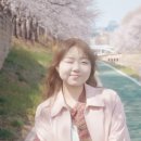 서울 벚꽃스냅, 야외스냅 촬영 후기 : 일사공사진방