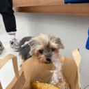 뿌리동물병원 이미지