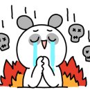 샨샨 이미지