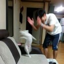 쿠키가 2개인 토르 러브 앤 썬더 후기 (스포OO 뇌절OOOOOO)