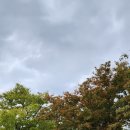 호돌유치원 이미지