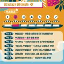 2023 알로하 거북섬 페스티벌 이미지