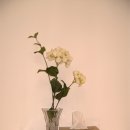 올리브민박 이미지