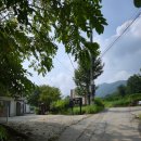 퍼니멍멍 갤럭시하우스점 이미지