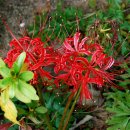 전북산림박물관 이미지