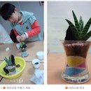 미니정원(테라리움) 이미지