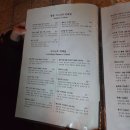 마포구 합정역 여성전용 감성 카테일바 스튜디오 포비피엠 후기