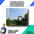 유한회사 스마일푸드 | 음성군 음성읍 나무 전지작업 공장 관리 후기