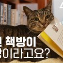 동네커피책방