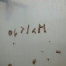 아기새어린이집 이미지