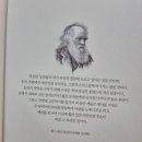 인간의 딜레마 이미지