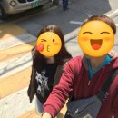 (주)제스통상 | 최고의 밴드! 콜드플레이 내한공연 관람후기