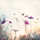 부동산정보와 경매 이미지