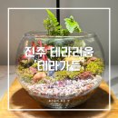 작은정원 | 진주 가좌동 공방, 나만의 작은 정원 &#39;테라가든&#39;에서 테라리움 만들고 온 후기