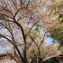 시전1길 이미지