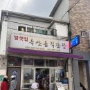 딸셋집민박 | [울릉도] 울릉도 저동항 숙소 추천 ‘딸셋집 민박집’ 위치 최고!