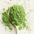 말차 (抹茶, Matcha) 이미지