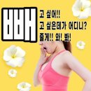 꽃보다점핑