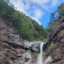 폭포수목장 이미지