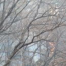 신왕리 이로운넷
