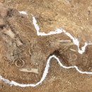 신원상사 이미지