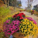 관청 근린공원 이미지