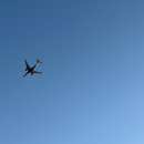 새벽노을2 | 시부야 스카이 16:20 입장후기 노을부터 야경까지, 공홈 취소표 티켓팅 팁