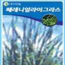 H0056 이미지