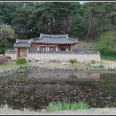 영주 천운정 이미지