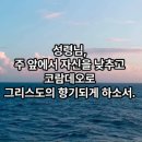 (주)코람데오 이미지