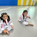 국가대표영웅태권도 이미지