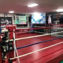 중독된복싱체육관 이미지